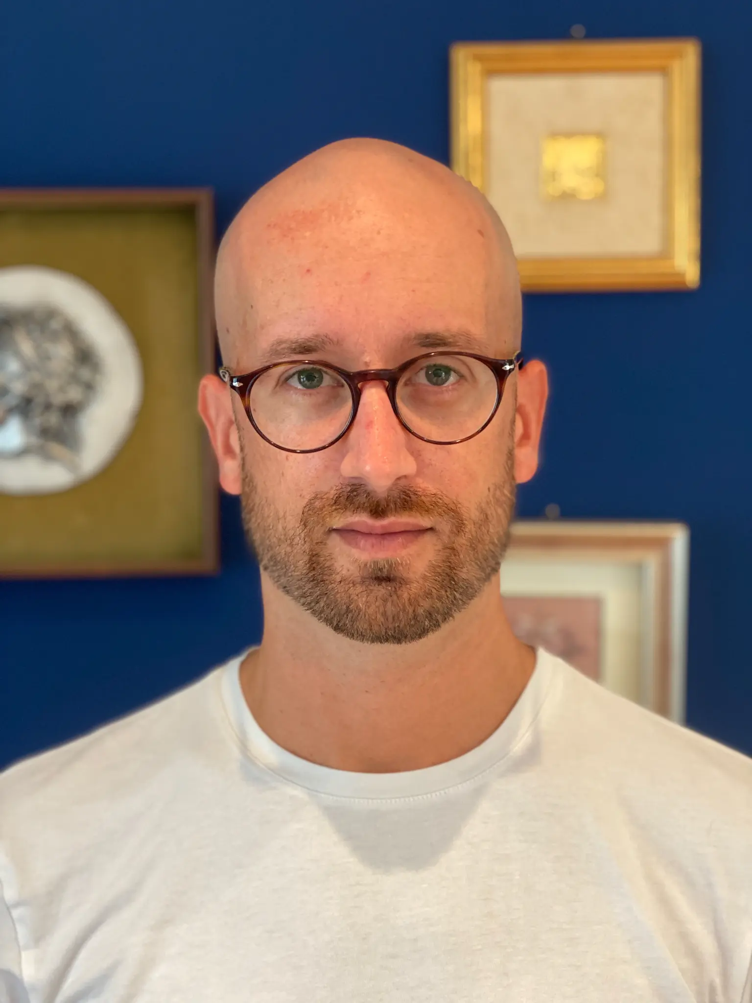 Daniele Mainardis